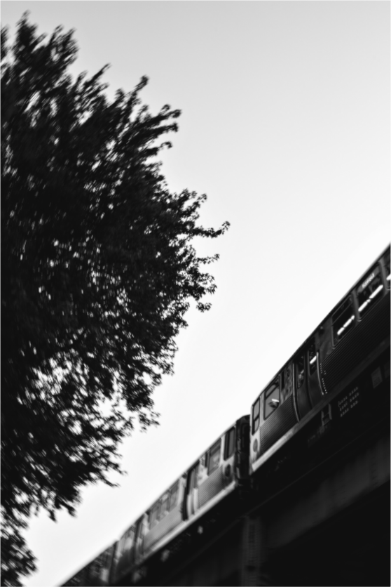 Main image train warp