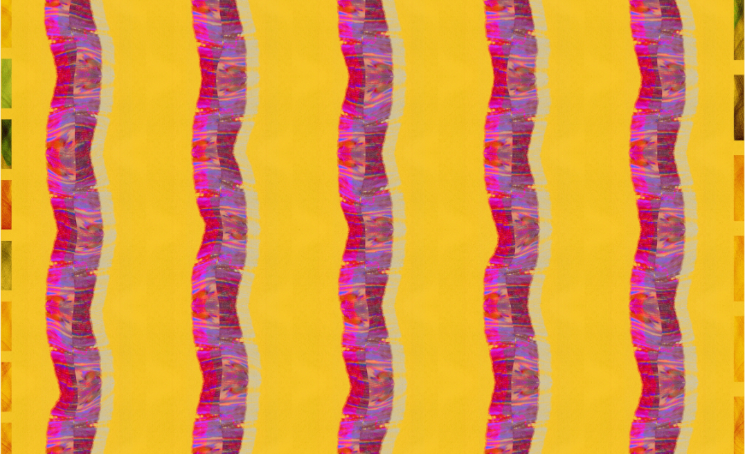 Main image snake