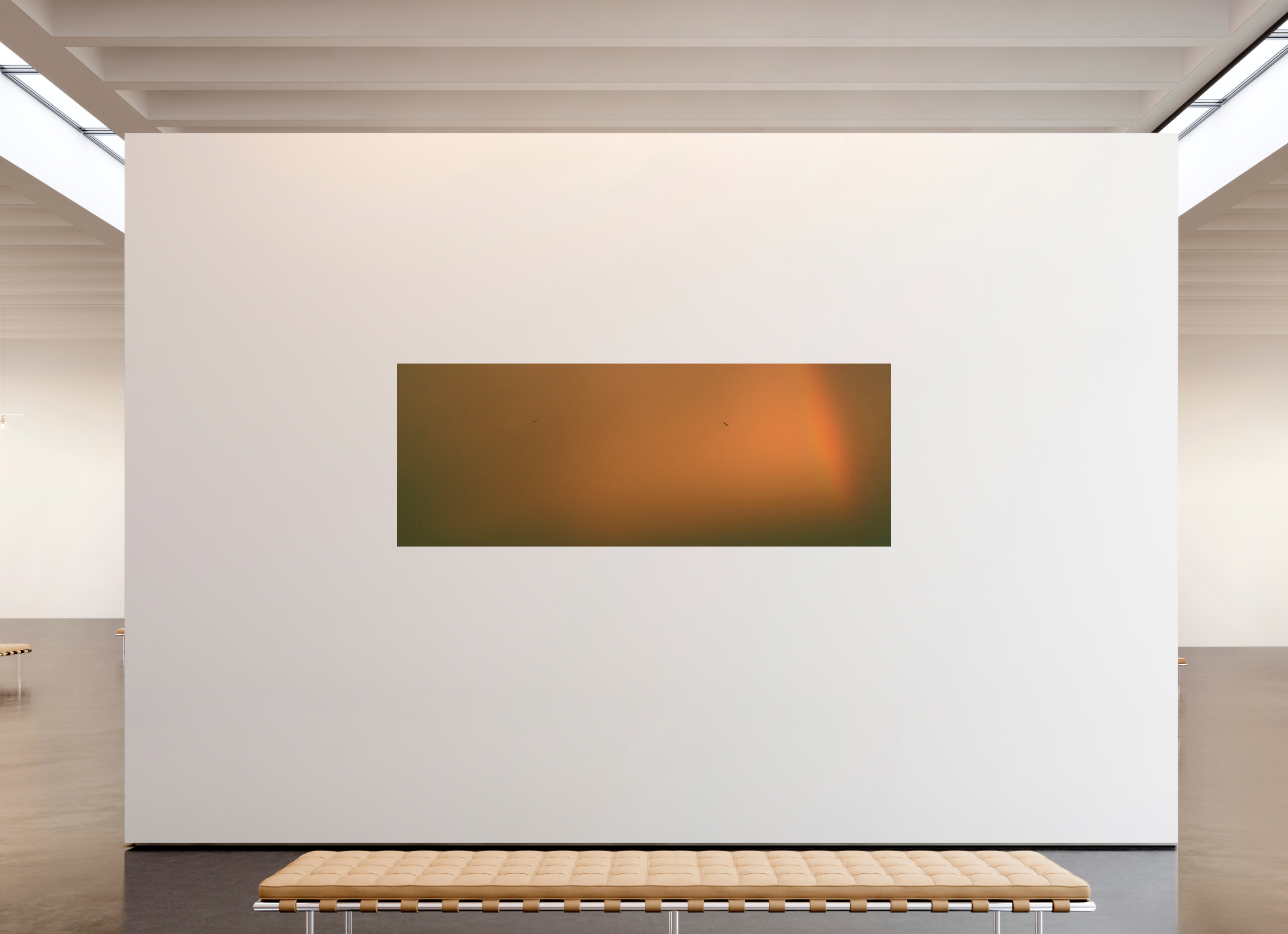 97.1 x 36″, Fine Art Print Rainbow