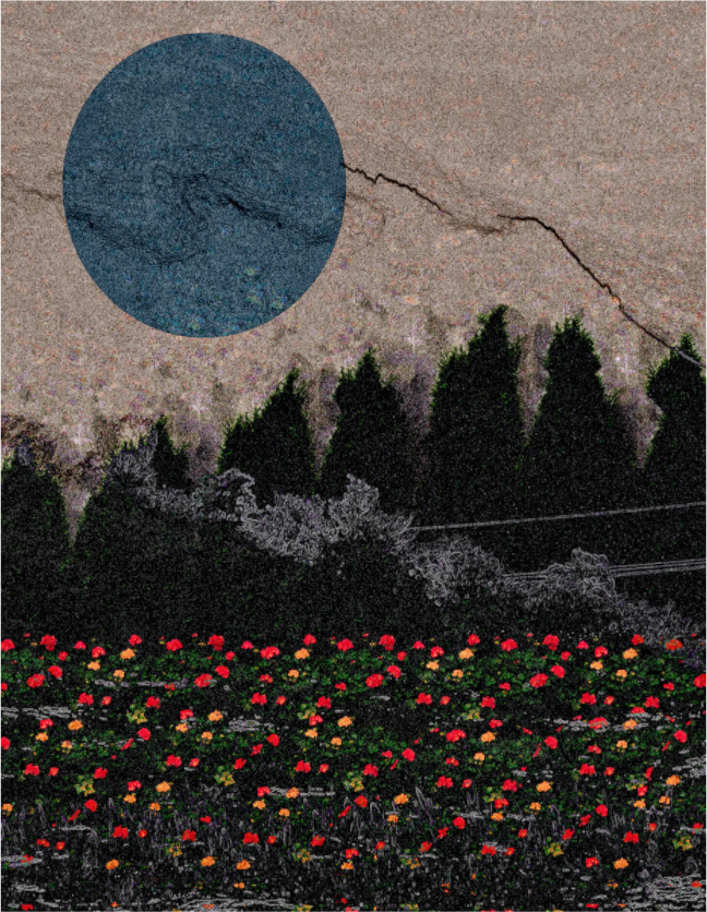 Main image garden