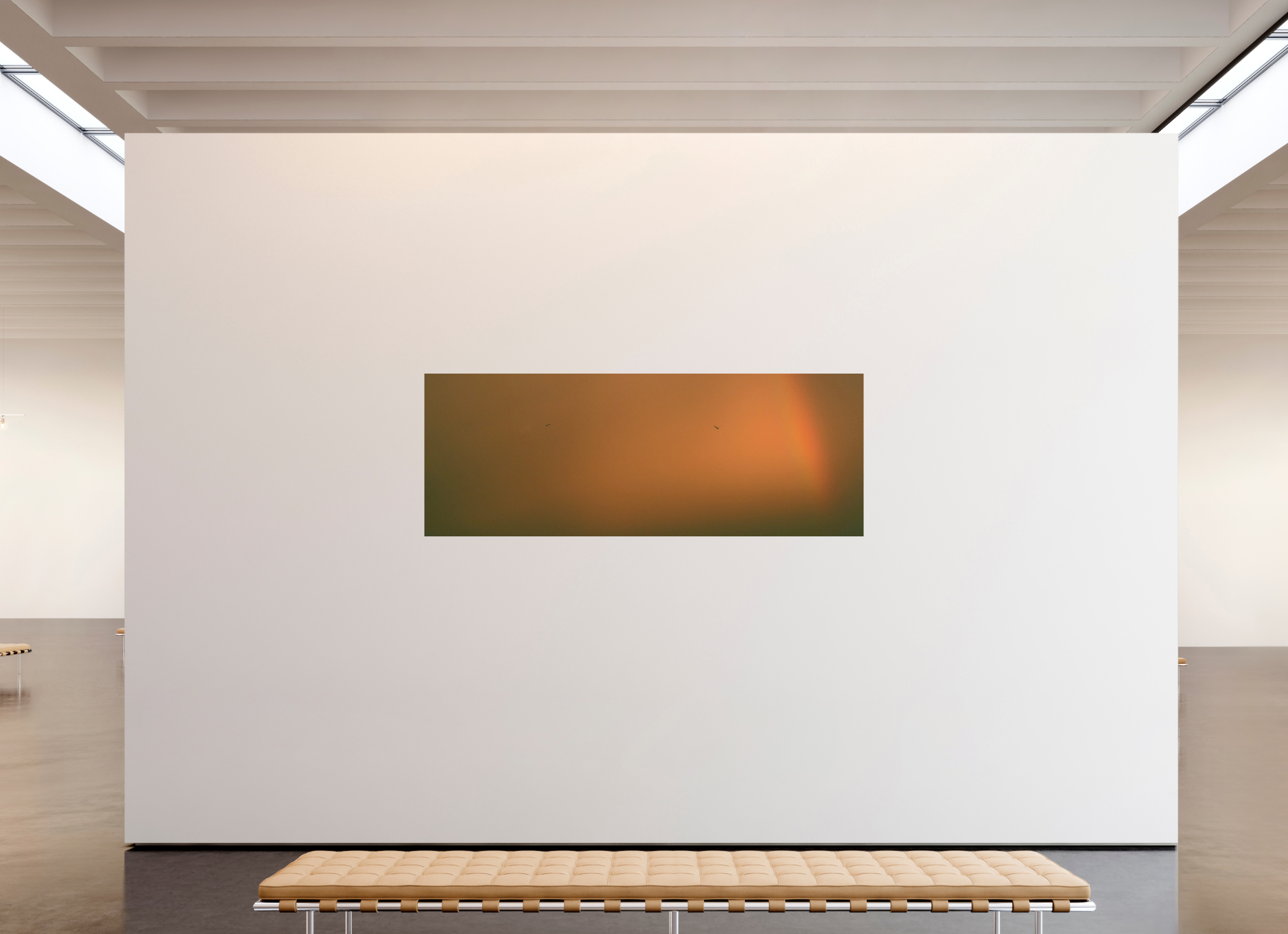 86.3 x 32″, Fine Art Print Rainbow