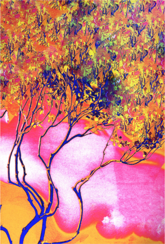 Main image tree