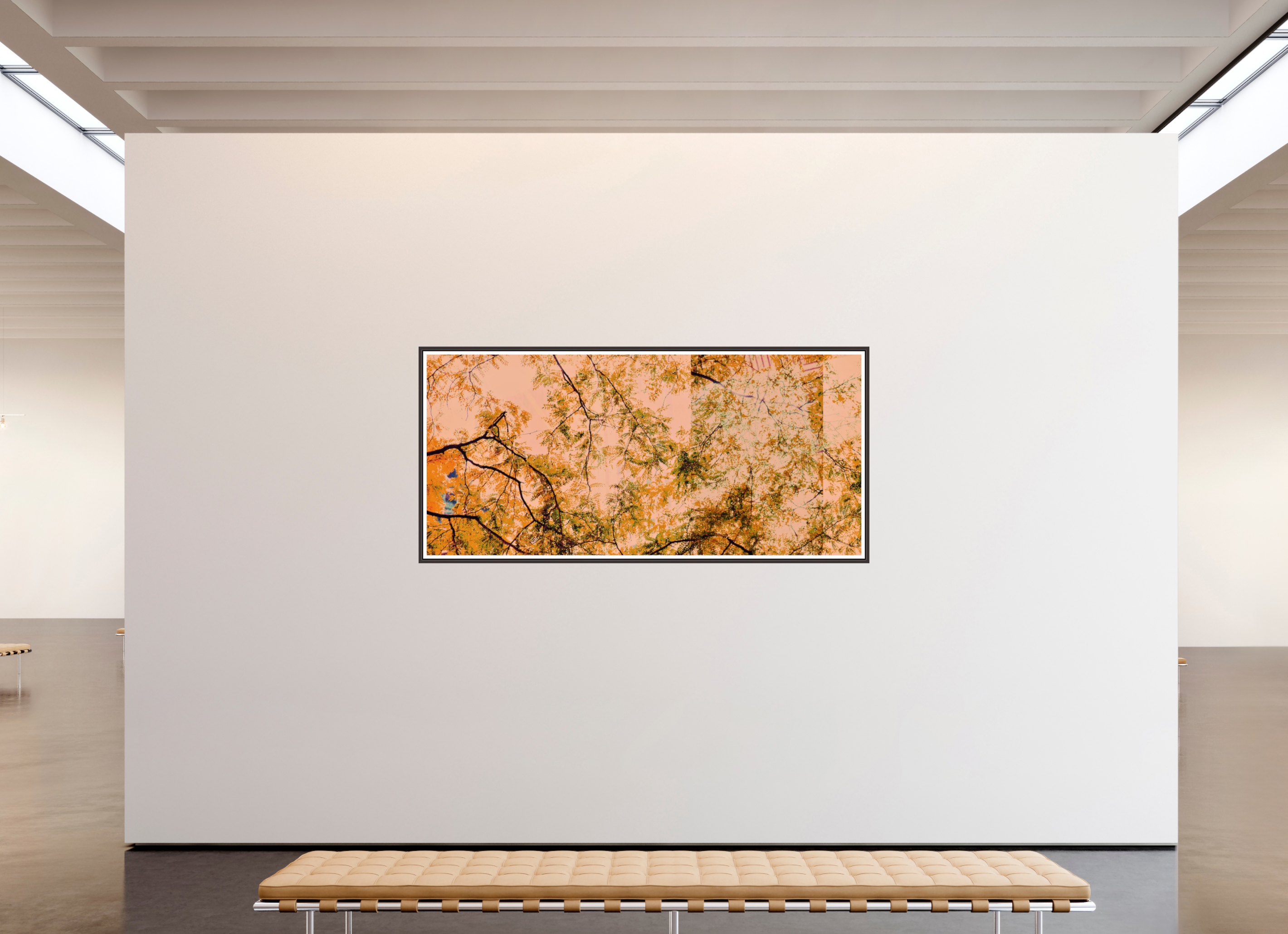84.8 x 39″, Floater Frame (Alder Brown) Cherry Trees