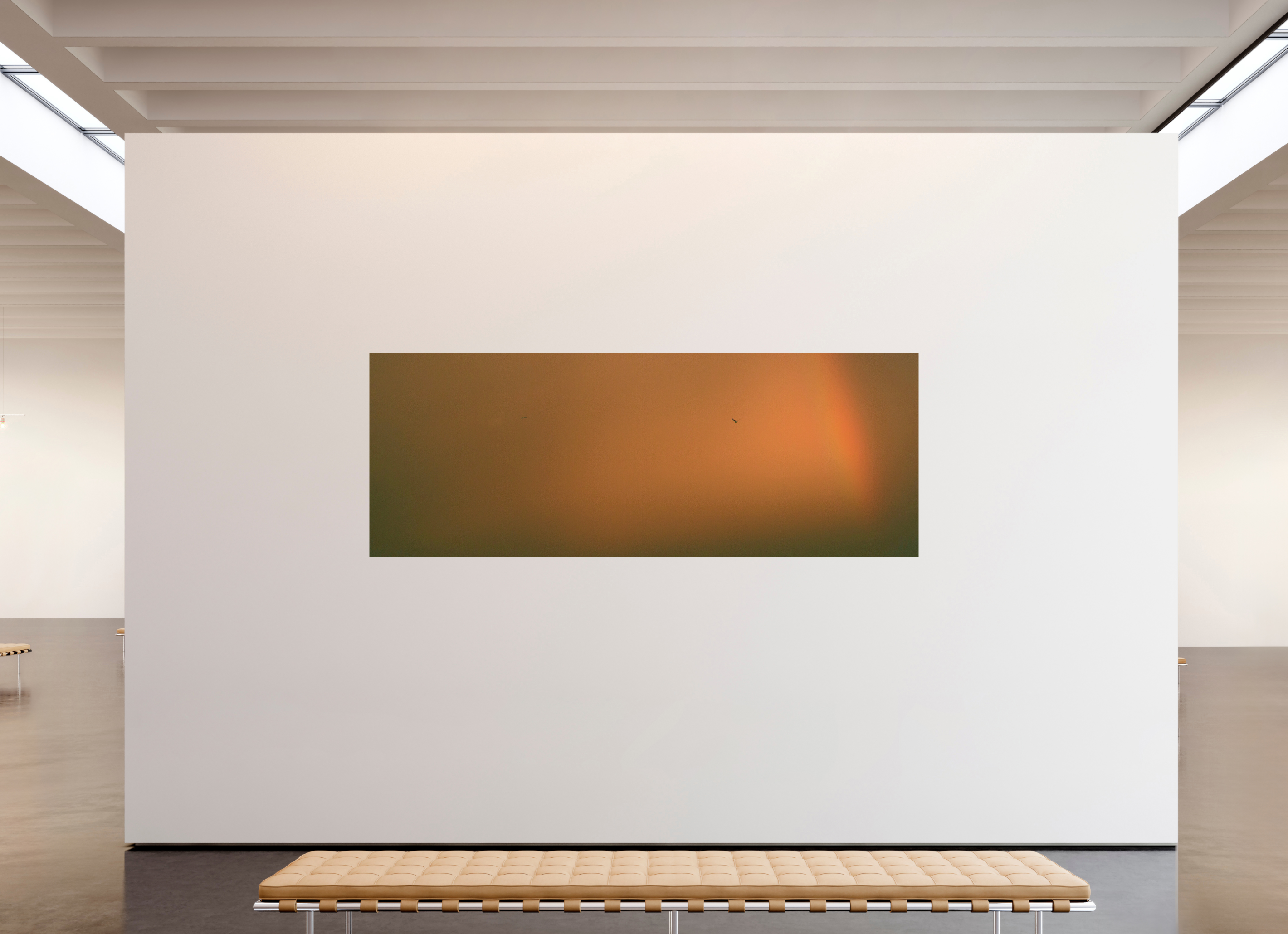 107.9 x 40″, Fine Art Print Rainbow