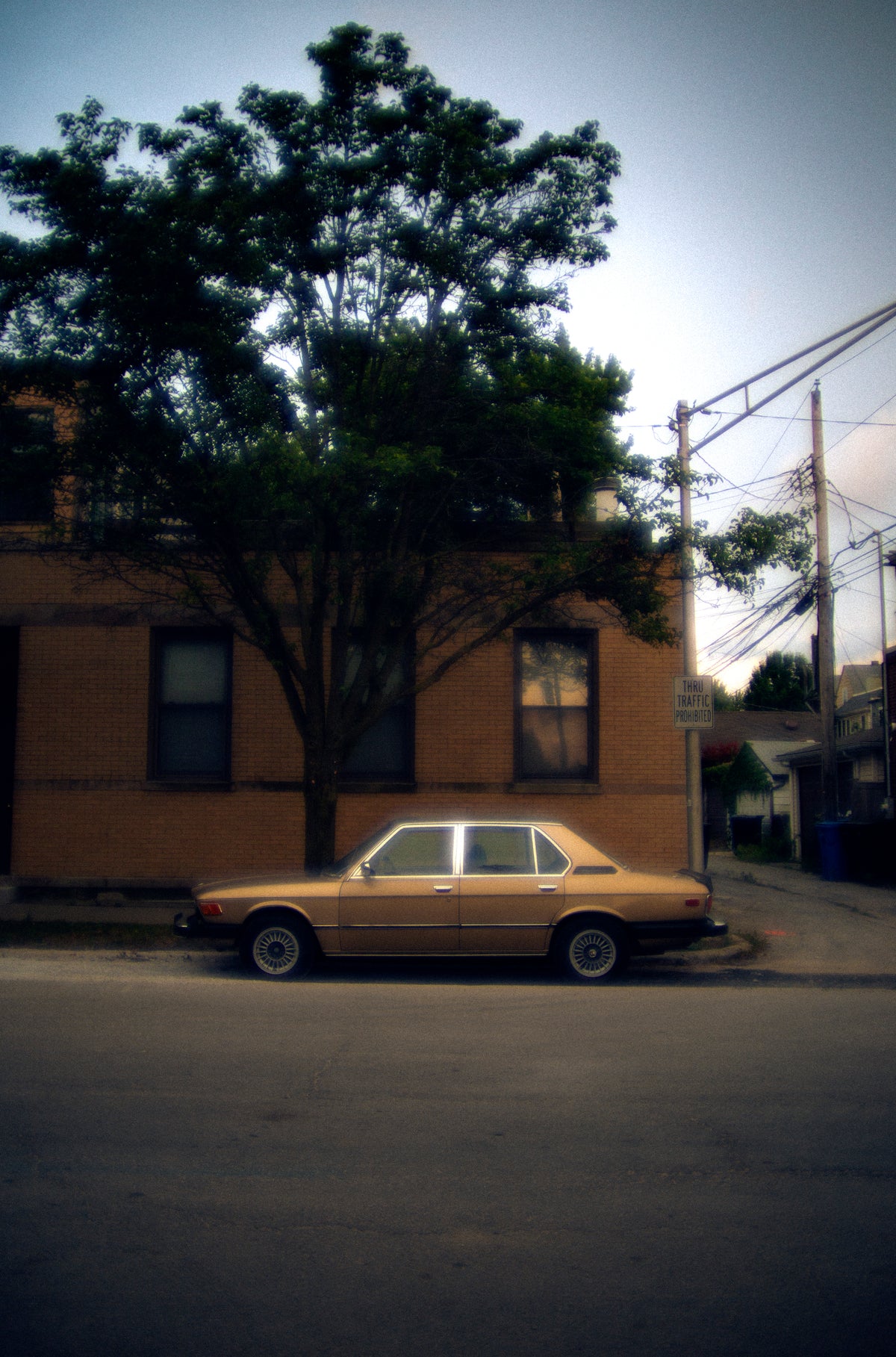 A vintage gold sedan parked on a city street in front of a brick building and a large tree, with utility poles and wires visible in the background.