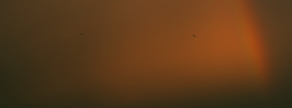 A dramatic landscape photograph of a hazy orange sky with a faint rainbow arc on the right and two small birds silhouetted against the light.