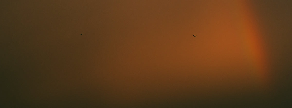 A dramatic landscape photograph of a hazy orange sky with a faint rainbow arc on the right and two small birds silhouetted against the light.