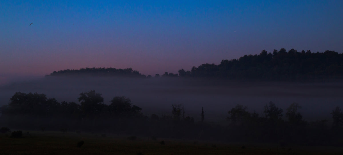 A misty landscape at dawn or dusk with dark tree silhouettes across a field under a blue-to-purple sky.