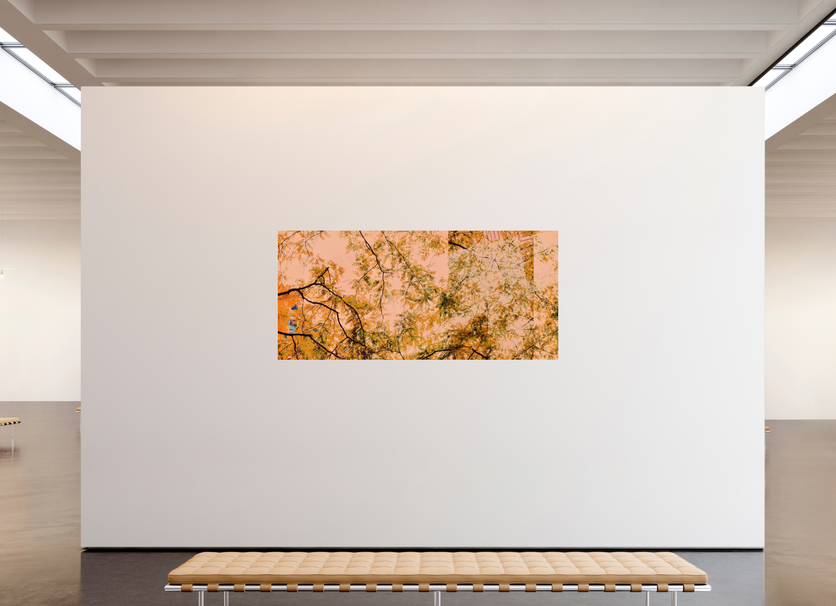 84.8 x 39″, Photo Print Under Acrylic Glass Cherry Trees