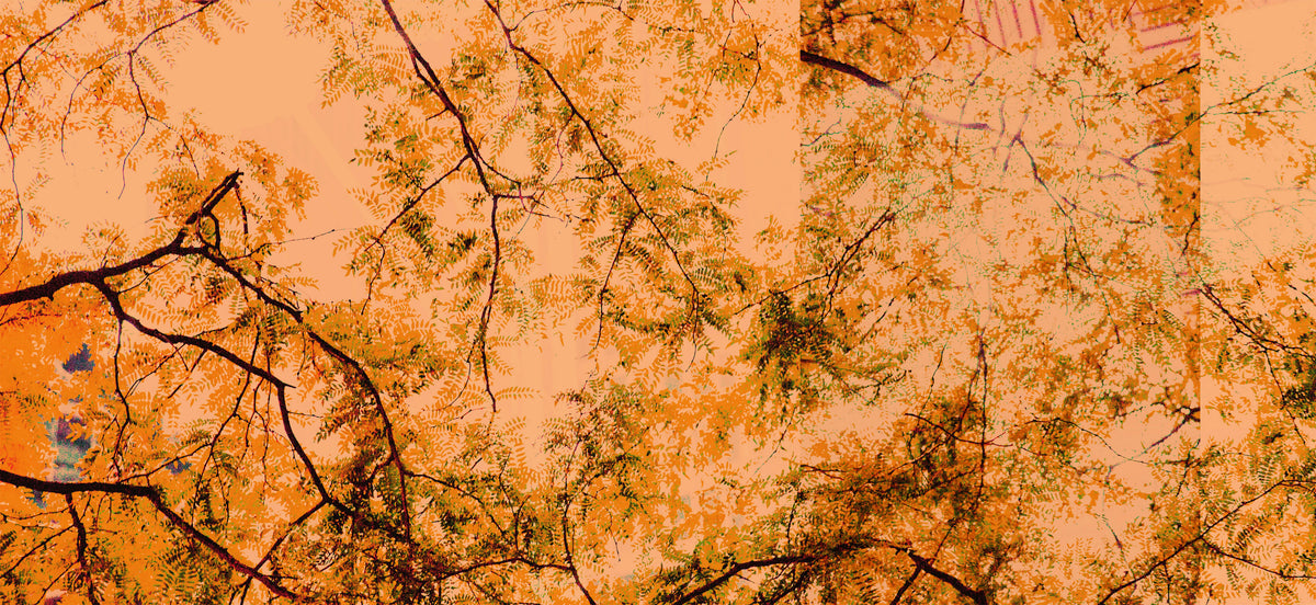 An abstract art print depicting a dense network of dark tree branches against a warm peach-orange background with textured yellow and green leaf patterns.