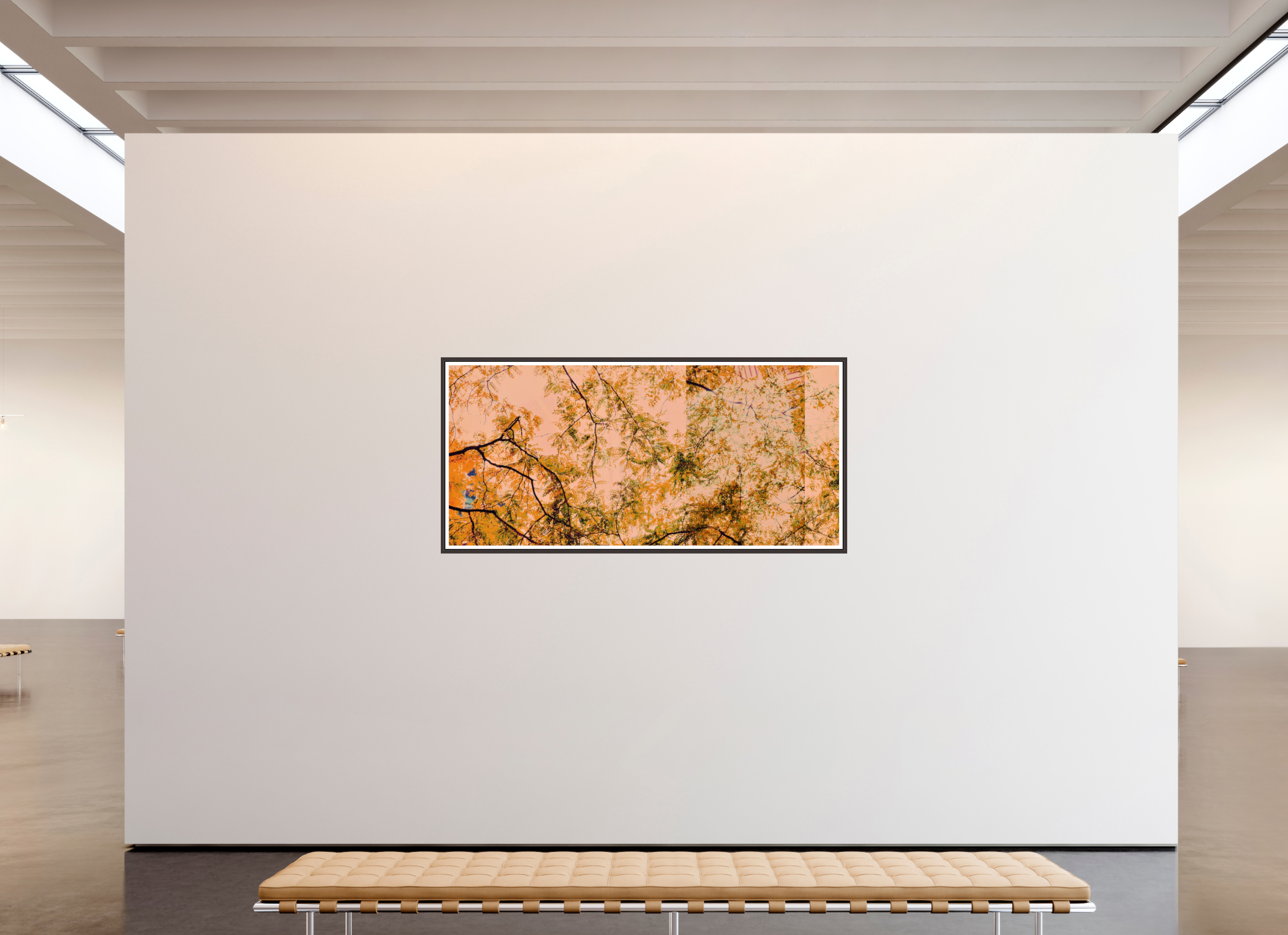 76.1 x 35″, Floater Frame (Alder Brown) Cherry Trees