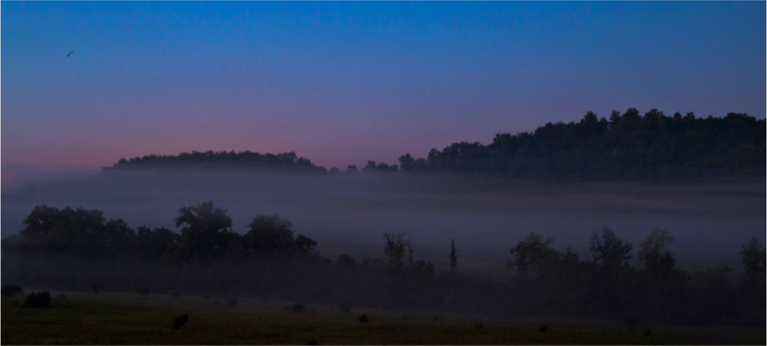 Main image fog