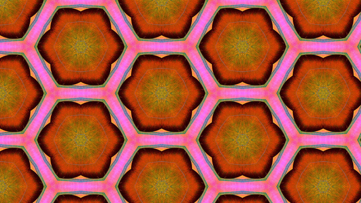 A seamless geometric pattern featuring repeating hexagonal motifs in vibrant orange, brown, yellow, and pink with green outlines.